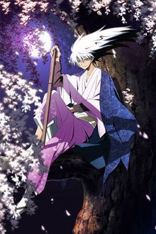 Le Seigneur des Yokaï (TV 1)