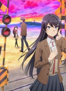 Rascal Does Not Dream of a Knapsack Kid