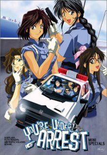 You're Under Arrest - Mini Specials