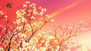 Chivalry of the Failed Knight - Screenshot #1