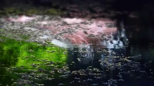 The Garden of Words - Screenshot #1