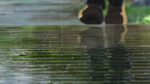 The Garden of Words - Screenshot #3