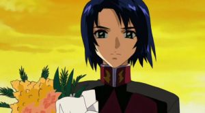 Mobile Suit Gundam SEED Special Edition - Screenshot #4