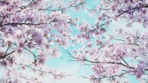 Sound! Euphonium (TV 3) - Screenshot #1