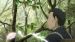 Mushishi Zoku Shô - Screenshot #4