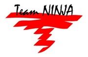 Team Ninja