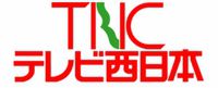 Television Nishinippon