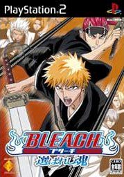 Bleach (PS2)