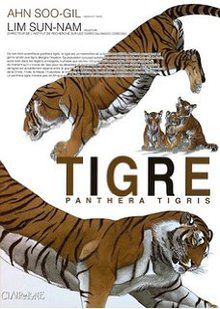 Tigre - Panthera Tigris