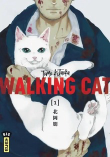 Walking Cat